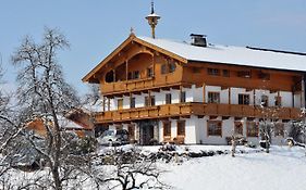 Stegerbauer